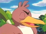 EP147 Farfetch'd de Silvester
