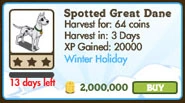 Spotted Great Dane Market Info