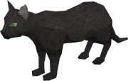 Bob the Cat