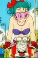 Bulma1