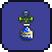 Item 555