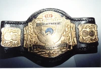 NWA Wildside Junior Heavyweight Championship