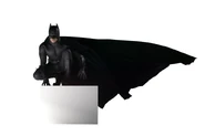 BatsBegins8