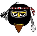 Bearded-Ninja