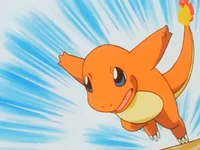 Ash Charmander Skull Bash