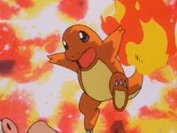Ash Charmander Rage