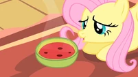 Fluttershy daww S01E22