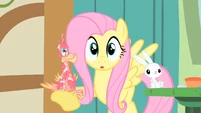 Fluttershy with Philomena in the hoof S1E22