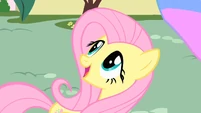 Fluttershy amazed by Philomena S01E22