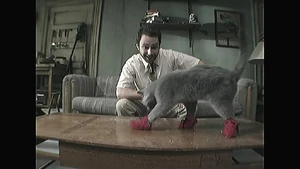 Kitten-mittens2.1