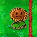 Cardboard Sunflower.jpg (9 KB) Cardboard Sunflower