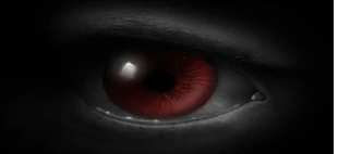 Red Eyed Dragon
