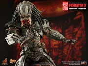 Predator-2--Guardian-Predator-PR9