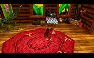 DKTreehouse64