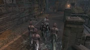 Curse of Romani 2
