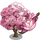 Pink Magnolia Tree-icon