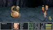 FFIVPSP Pig