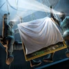 Huge item crimering2 card4.png