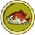 Koi