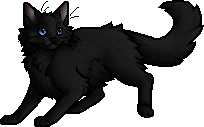Cinderpelt.apprentice.alt.png