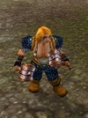 WildhammerWarbrand