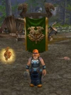 WildhammerBattleHealer