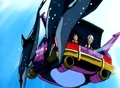Dolphins(BB)