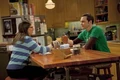 Shamy experiment.jpg