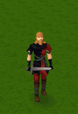 A player uses the Sanctuary special attack