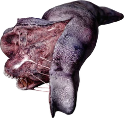 Splitworm