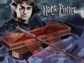 Harryswandlg.jpg (9 kB) Harryswandlg