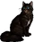 Hawkfrost.warrior