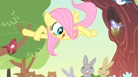 Filly Fluttershy '...love...' S1E23