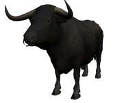 Superbull.png