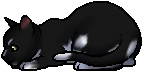 Toadstep.kit