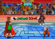 SaiyamanVsKrillin(ShinButoden)