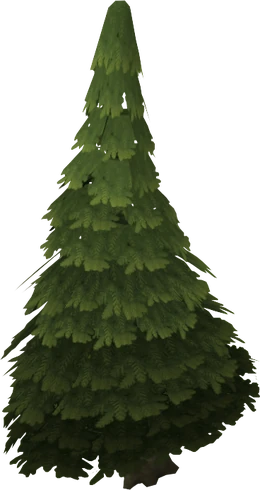 Evergreen tree