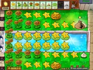 Starfruit