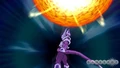 Supernova Shin Budokai