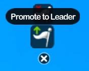Promote To Leader