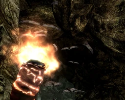Skyrim bats