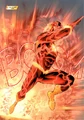 Flash 0049