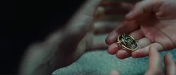 Mockingjaypin