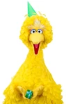 BigBirdBirthdayPresent