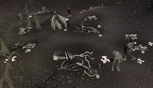 Bone Yard old