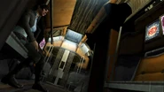 Extraction - Lexine