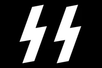Ss insignia