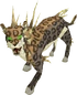 Spirit larupia