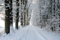 Winter-Path