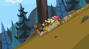 Ratsracing